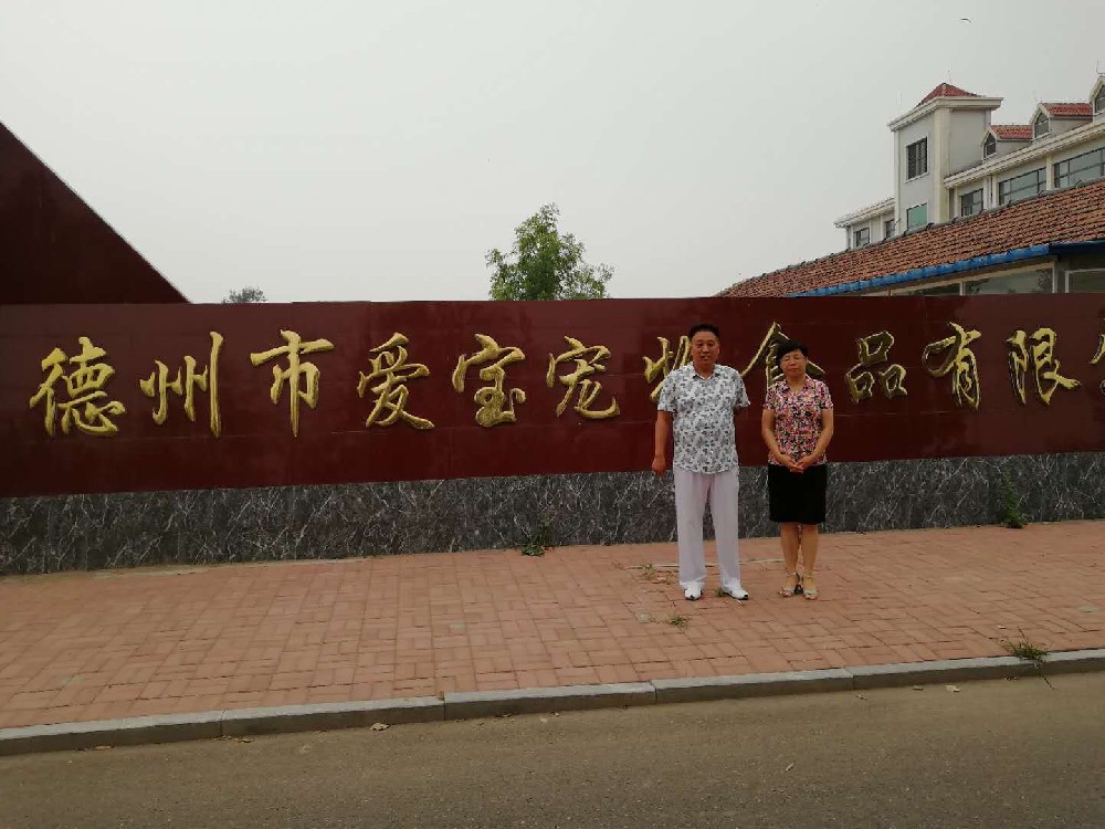 德州市爱宝宠物食品有限公司宠物食品生产项目 安全现状评价报告